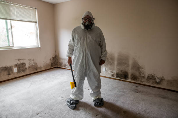 Professional Mold Removal in Milford, NE